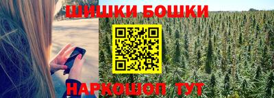 СК Новоалтайск
