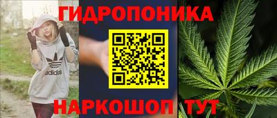 СК Новоалтайск