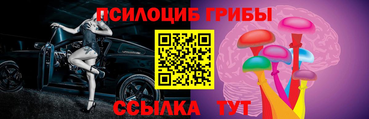 Псилоцибиновые грибы мухоморы  Вход с VPN  Железноводск 